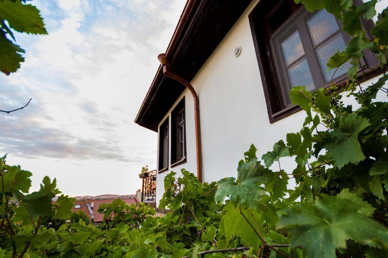 Apartment Zdravets, In The Heart Of The Old City Weliko Tarnowo Exterior foto